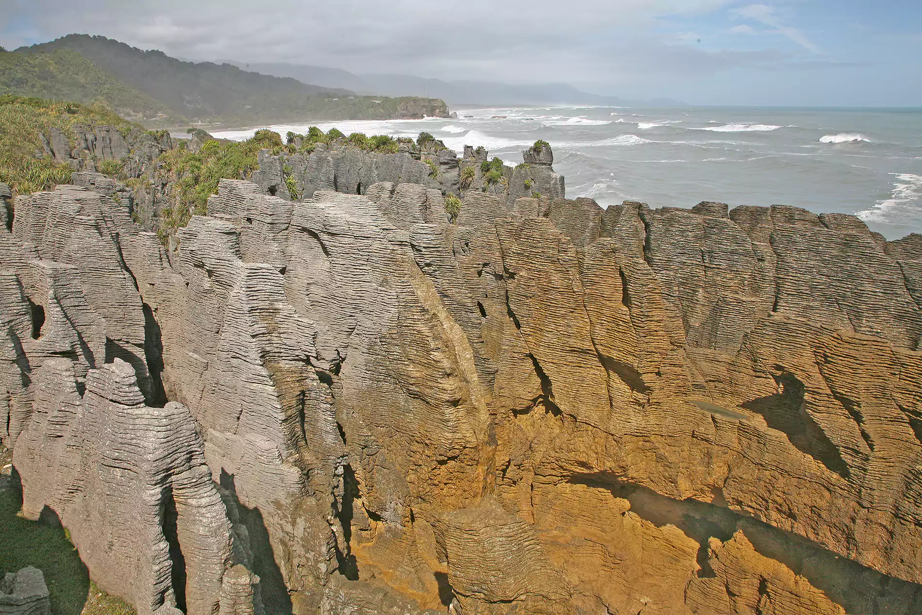 Embrace the West Coast's Wild Beauty