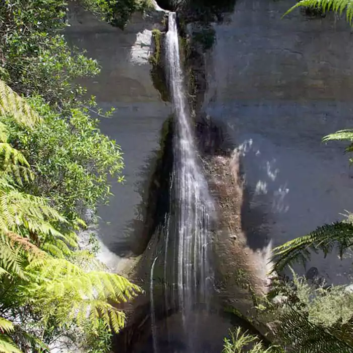 Mount Damper Falls